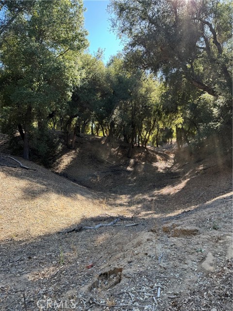 Detail Gallery Image 56 of 59 For 0 Arroyo Road, Lake Elsinore,  CA 92530 - – Beds | – Baths