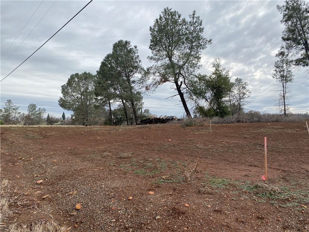 0 Wayland Road, Paradise, California 95969, ,Land,For Sale,0 Wayland Road,CRSN23231703