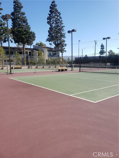 Dueling Tennis Courts