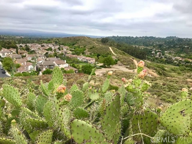 Detail Gallery Image 52 of 63 For 10533 Emerson Bend, Tustin,  CA 92782 - 4 Beds | 3/1 Baths