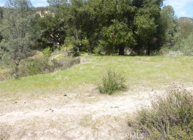 0 0 Vineyard Canyon Parcel 29, San Miguel, California 93451, ,Land,For Sale,0 0 Vineyard Canyon Parcel 29,CRNS23160263