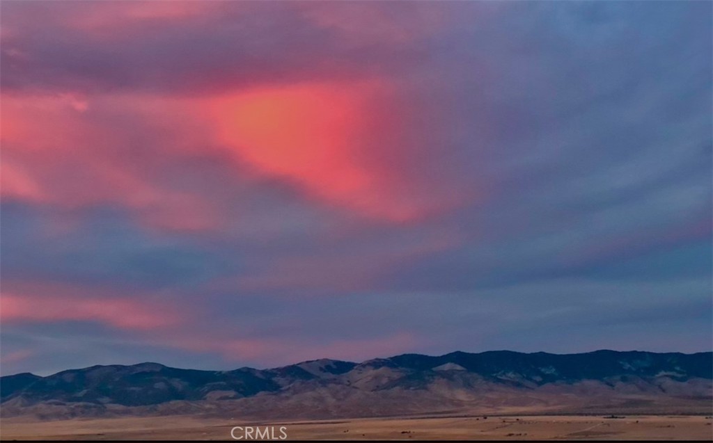 https://media.crmls.org/medias/2d4e1990-8d0e-4666-a36c-c515e20ffeaf.jpg?preset=X-Large
