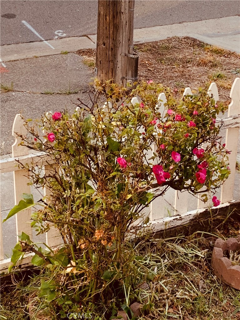 2D537432 7544 4E44 Bdb4 0D0791166Bda 1100 Lassen Street, Richmond, Ca 94805 &Lt;Span Style='BackgroundColor:transparent;Padding:0Px;'&Gt; &Lt;Small&Gt; &Lt;I&Gt; &Lt;/I&Gt; &Lt;/Small&Gt;&Lt;/Span&Gt;