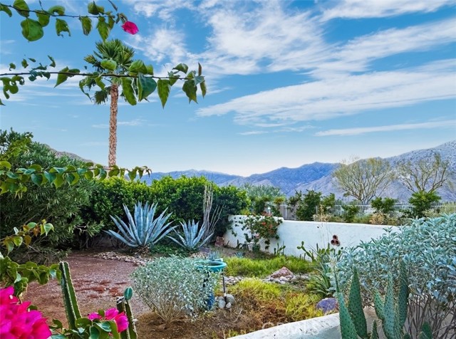 Detail Gallery Image 3 of 19 For 1932 S Barona, Palm Springs,  CA 92264 - 2 Beds | 2 Baths
