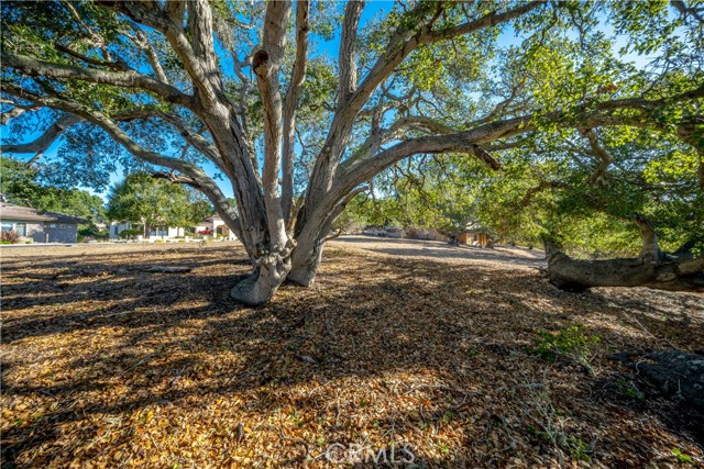 Detail Gallery Image 10 of 25 For 2665 Vista De Avila, Avila Beach,  CA 93424 - – Beds | – Baths