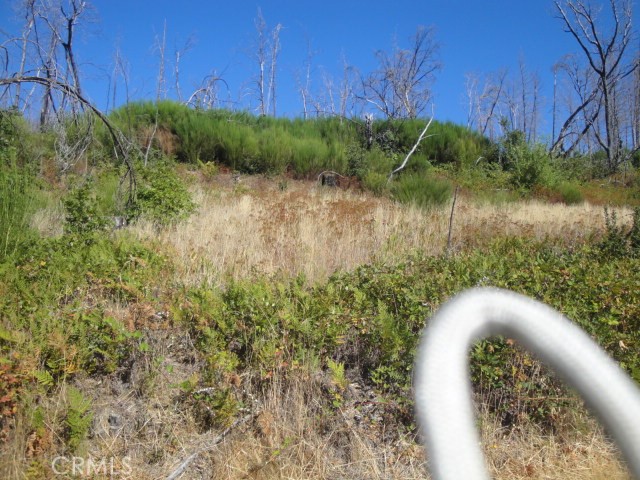 0 Meadow Lane, Berry Creek, California 95916, ,Land,For Sale,0 Meadow Lane,CROR20230200