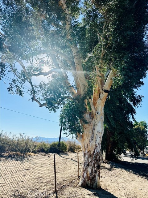 Detail Gallery Image 6 of 24 For 51063 29 Palms #55,  Morongo Valley,  CA 92256 - 1 Beds | 1 Baths