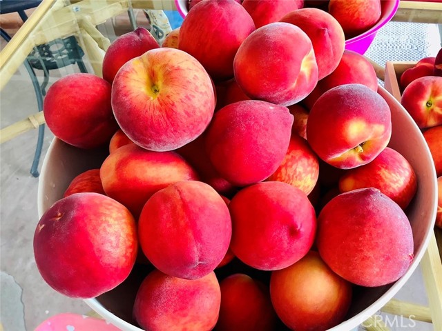 Detail Gallery Image 15 of 39 For Address Is Not Disclosed, Gardena,  CA 90249 - 5 Beds | 4 Baths