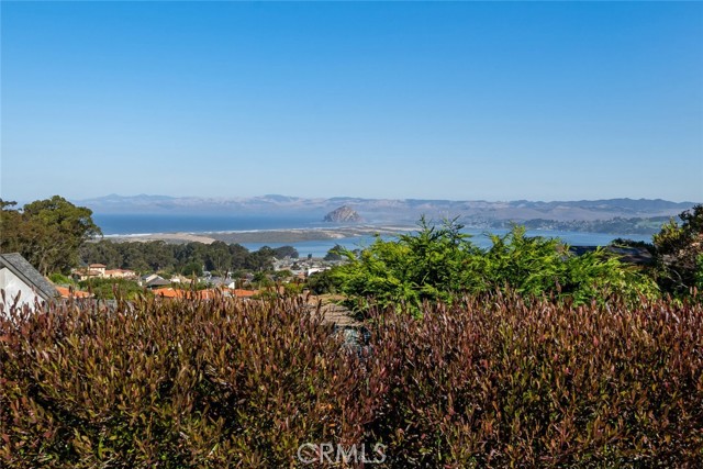 Detail Gallery Image 50 of 62 For 256 San Jacinto Drive, Los Osos,  CA 93402 - 3 Beds | 2/1 Baths