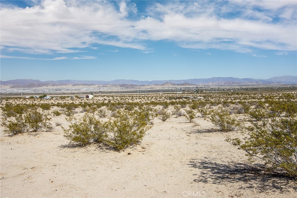 MLS #JT25255068 image #6