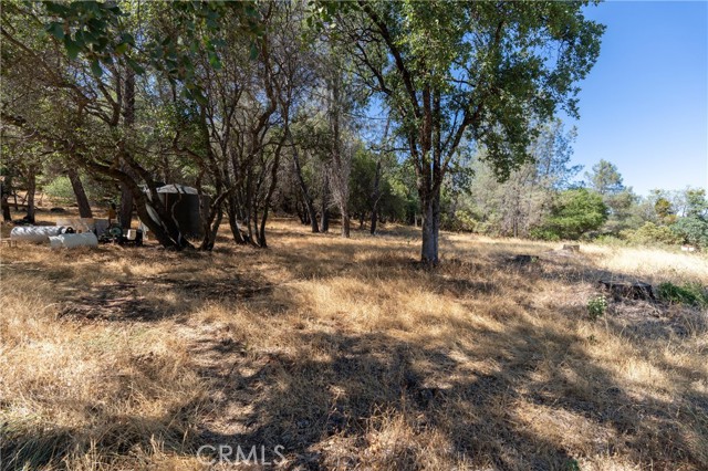 Detail Gallery Image 12 of 28 For 467 Condor Rd, Cherokee,  CA 95965 - – Beds | – Baths