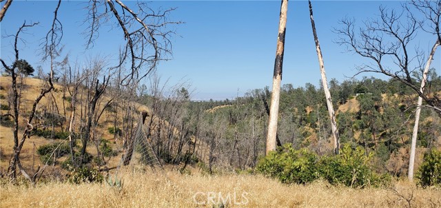 Detail Gallery Image 7 of 11 For 15687 Stagecoach, Corning,  CA 96021 - – Beds | – Baths