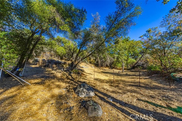 Detail Gallery Image 19 of 28 For 4200 Silver Lane Rd, Mariposa,  CA 95338 - – Beds | – Baths