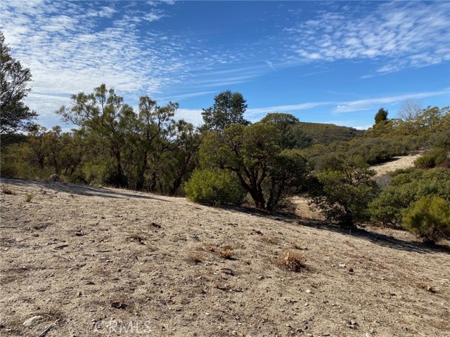 Detail Gallery Image 48 of 48 For 62000 Indian Hill Rd, Mountain Center,  CA 92561 - 3 Beds | 3 Baths