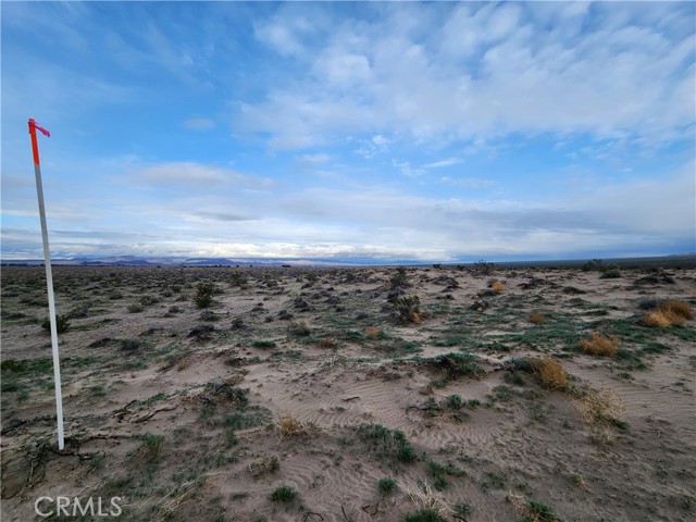 Detail Gallery Image 6 of 7 For 40 Ac Near Center Rd, Newberry Springs,  CA 92356 - – Beds | – Baths