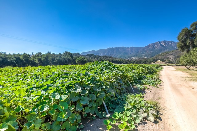 40635 De Luz Road, Fallbrook, CA, 92028 40635 De Luz Road, Fallbrook, CA, 92028