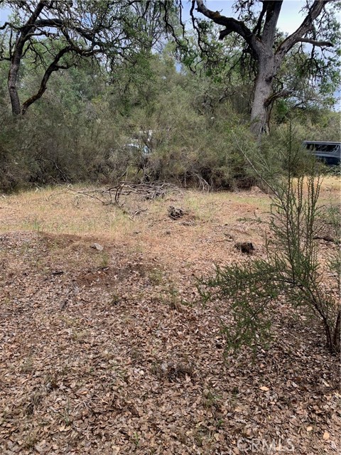 16288 12th, Clearlake, CA, 95422 16288 12th, Clearlake, CA, 95422