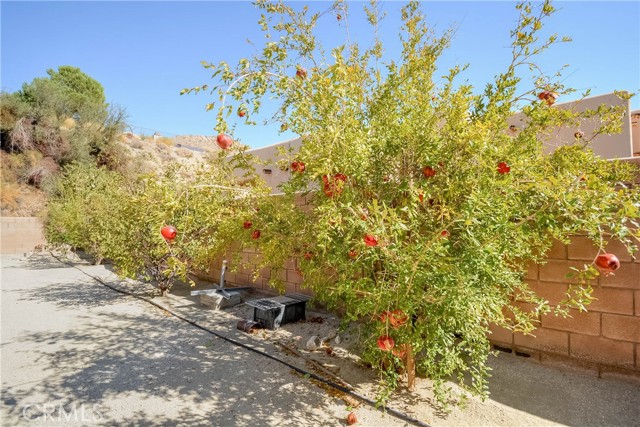 Detail Gallery Image 50 of 51 For 66802 Verbena Dr, Desert Hot Springs,  CA 92240 - 3 Beds | 2/1 Baths