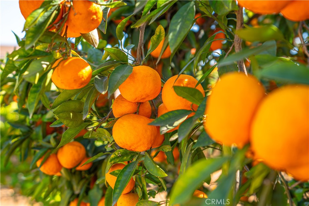 https://media.crmls.org/medias/2d950059-f3ef-465b-b943-d724347620df.jpg?preset=X-Large