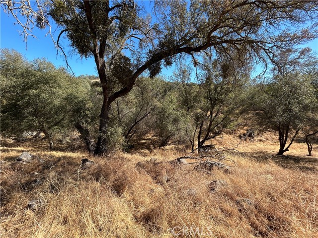 Detail Gallery Image 24 of 30 For 31083 Bear Paw Way, Coarsegold,  CA 93614 - 4 Beds | 2 Baths