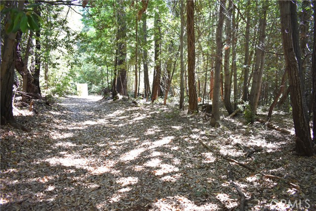 Detail Gallery Image 43 of 43 For 11605 La Porte Rd, Clipper Mills,  CA 95925 - 3 Beds | 2/1 Baths