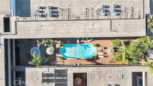 970 Palm, 200 photo 30