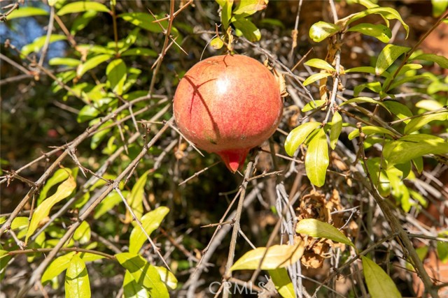 Detail Gallery Image 20 of 27 For 7419 Kraft, North Hollywood,  CA 91605 - 3 Beds | 2 Baths