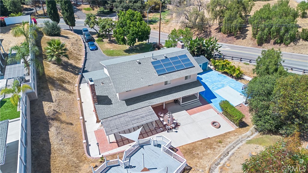 62 Pepper Tree