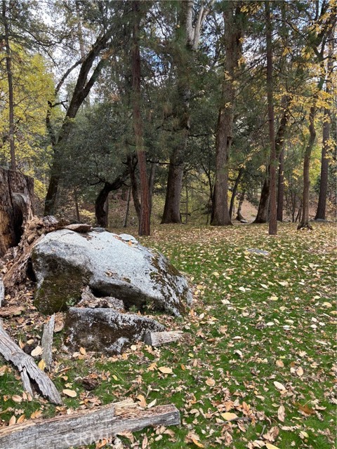 Detail Gallery Image 37 of 43 For 2458 Coachman, Mariposa,  CA 95338 - 3 Beds | 2/1 Baths