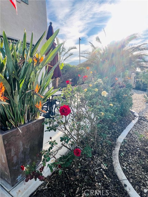 Detail Gallery Image 47 of 51 For 3258 Garfield St, San Bernardino,  CA 92407 - 5 Beds | 3 Baths