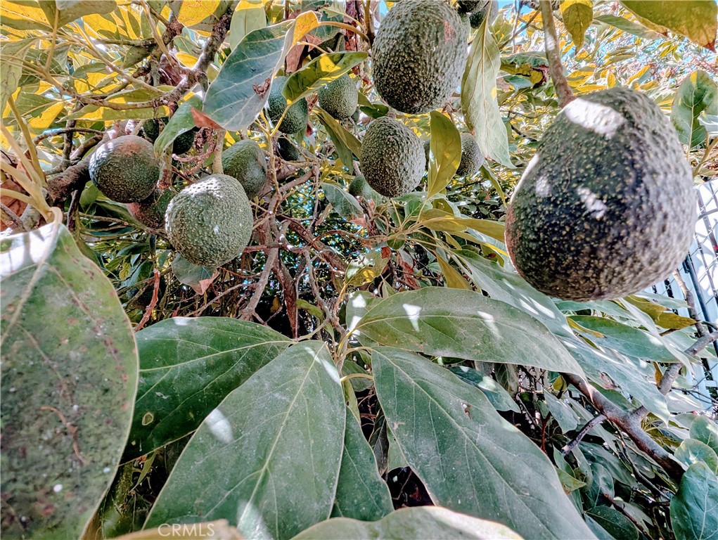 https://media.crmls.org/medias/2dae8093-4ce5-4ea9-bfb0-b91423f52448.jpg?preset=X-Large