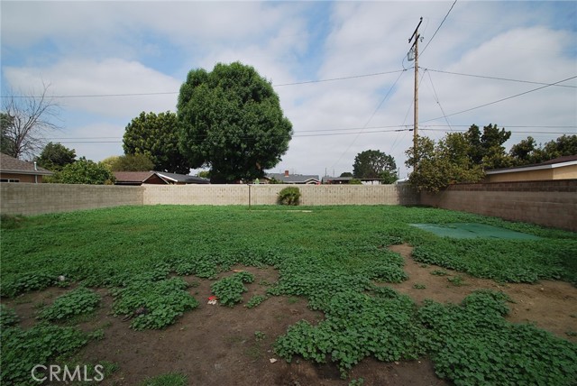 Looking North in the back yard