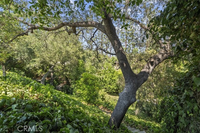 Detail Gallery Image 27 of 33 For 1530 Kenmore Rd, Pasadena,  CA 91106 - 3 Beds | 3 Baths
