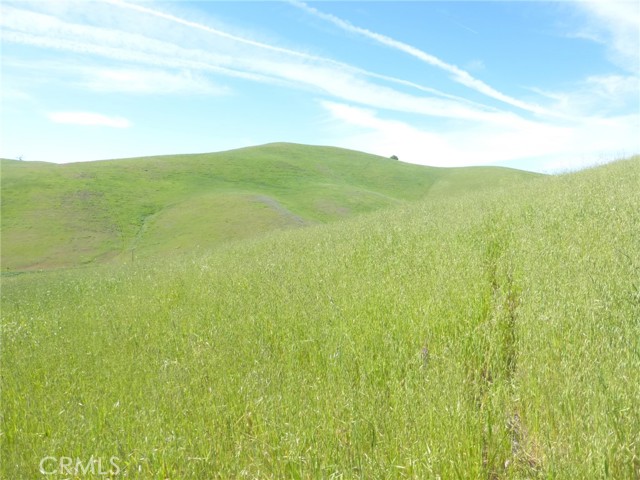 Detail Gallery Image 15 of 40 For 0 Douglas Rd. (Lot 43), San Miguel,  CA 93451 - – Beds | – Baths