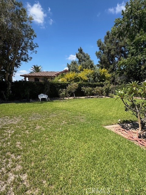 2dc15d6e 2927 4807 B580 Bf361aeddd9e