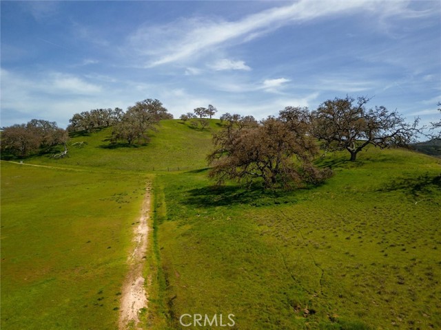 Detail Gallery Image 18 of 38 For 2186 Holly Dr, Paso Robles,  CA 93446 - – Beds | – Baths