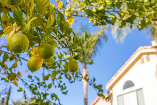 Detail Gallery Image 25 of 27 For 23661 Ballestros Rd, Murrieta,  CA 92562 - 4 Beds | 2/1 Baths