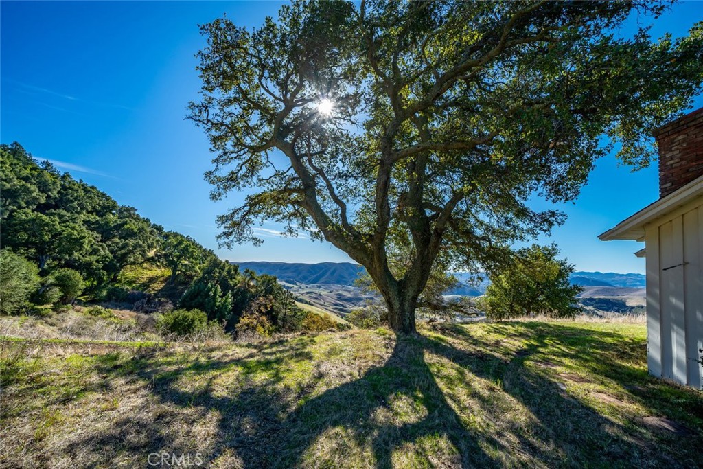 https://media.crmls.org/medias/2dcb6445-a876-4343-a2cd-68f6b36c37e5.jpg?preset=X-Large
