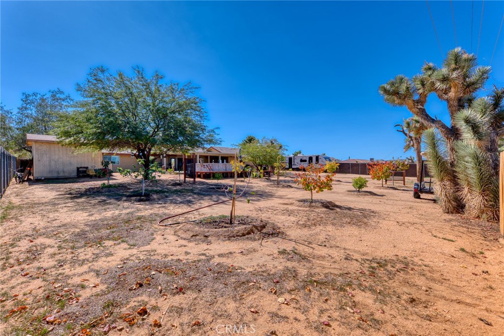 MLS #JT25249448 image #28