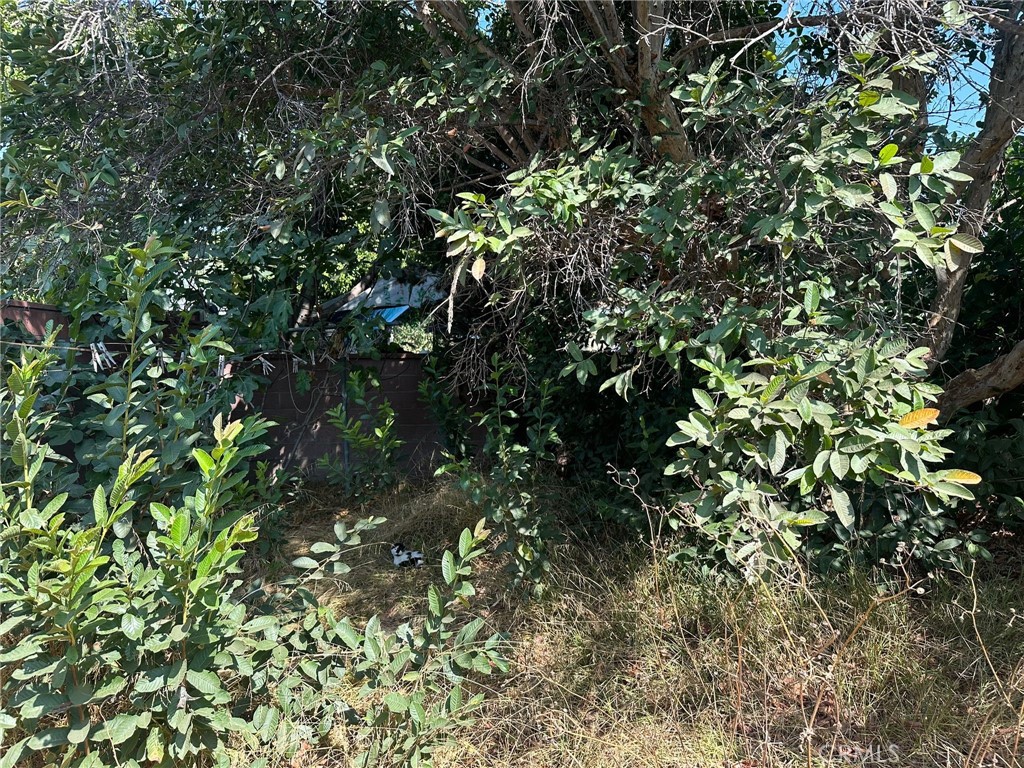 https://media.crmls.org/medias/2dcf1b71-116e-425a-9b58-8425e5963a19.jpg?preset=X-Large