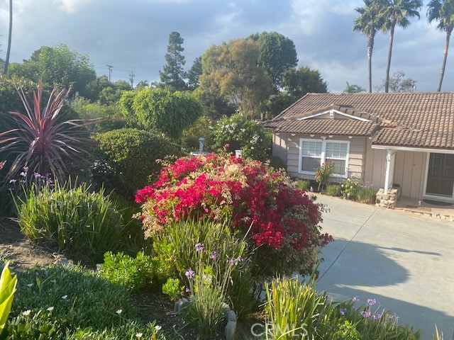 Detail Gallery Image 5 of 21 For 2831 2831 via El Miro, Rancho Palos Verdes,  CA 90275 - 4 Beds | 2 Baths