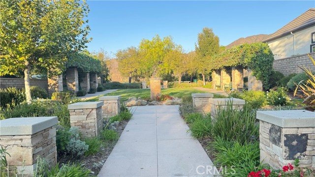 Pocket Park