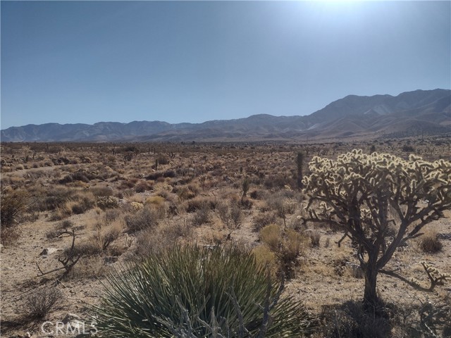 Detail Gallery Image 2 of 9 For 40 Powerline Rd, Lucerne Valley,  CA 92356 - – Beds | – Baths