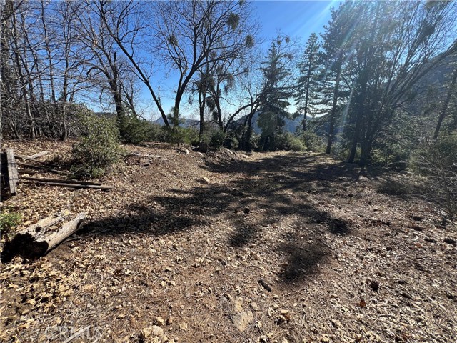 Detail Gallery Image 9 of 18 For 0 Ca-38, Angelus Oaks,  CA 92305 - – Beds | – Baths