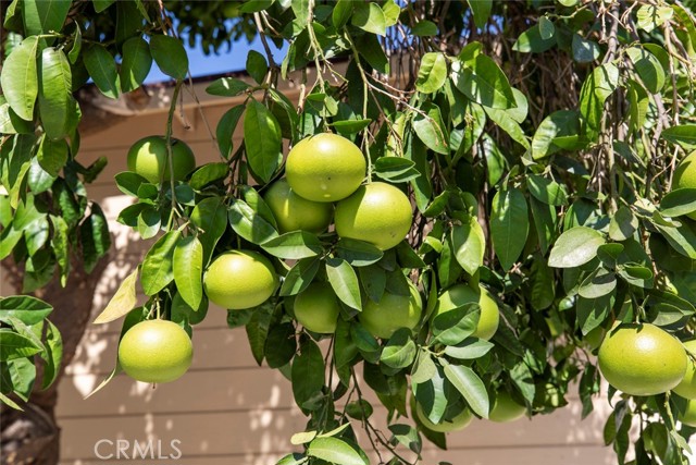 Detail Gallery Image 35 of 51 For 13427 Erwin St, Valley Glen,  CA 91401 - 3 Beds | 2 Baths