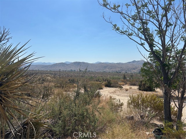 Detail Gallery Image 23 of 31 For 50212 Cedar Drive, Morongo Valley,  CA 92256 - 3 Beds | 2 Baths