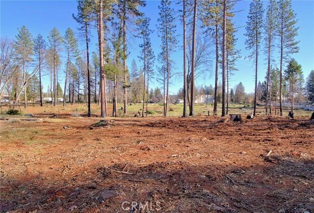 6414 Parkwood Way, Paradise, California 95969, ,Land,For Sale,6414 Parkwood Way,CRSN23145071