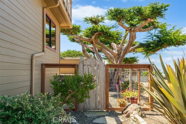 Detail Gallery Image 6 of 59 For 2591 Windsor Bld, Cambria,  CA 93428 - 2 Beds | 1/1 Baths
