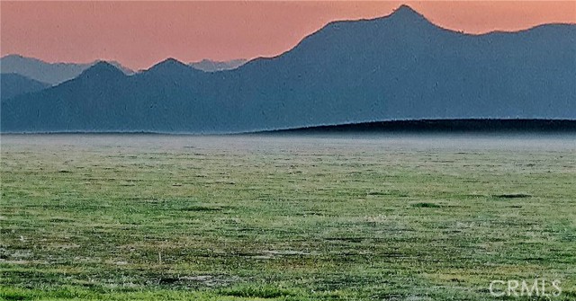 Front Image Thumbnail for CRPI26049996