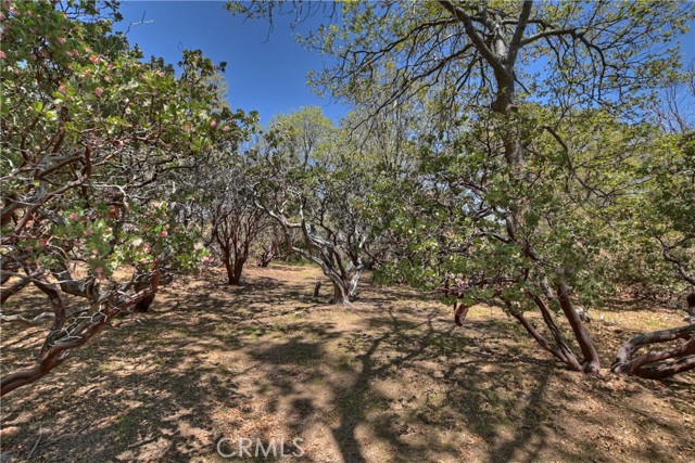 Detail Gallery Image 48 of 57 For 1249 Yellowstone Dr, Lake Arrowhead,  CA 92352 - 5 Beds | 3/2 Baths